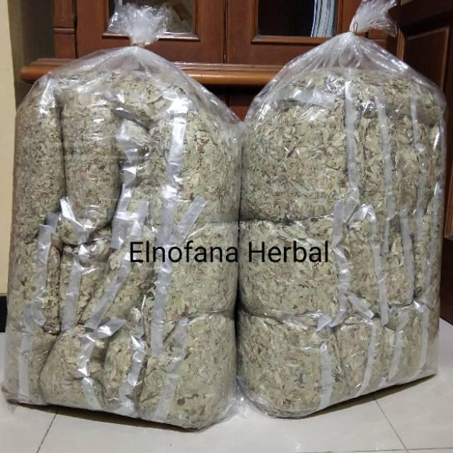 Daun teh jati cina 100gram (pelangsing alami)