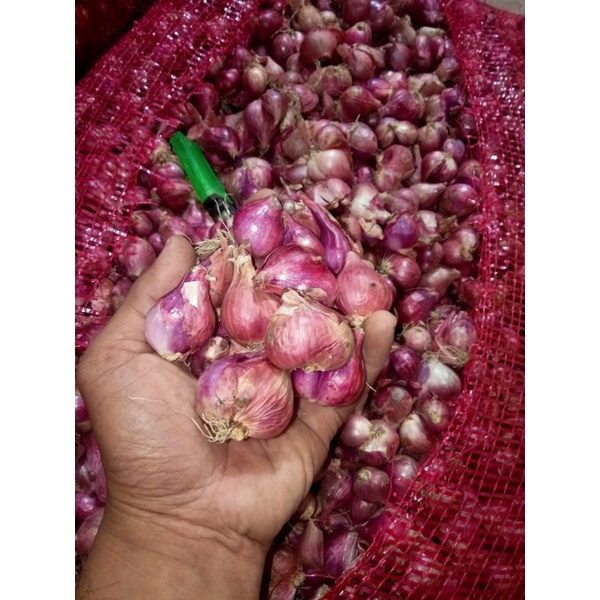 

bawang merah brebes fress