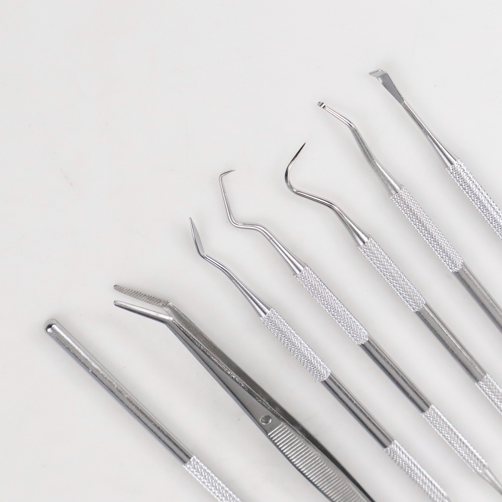 Alat Pembersih Gigi Set Dokter Gigi Dentist Dental Tool 7 PCS - 4012 - Silver