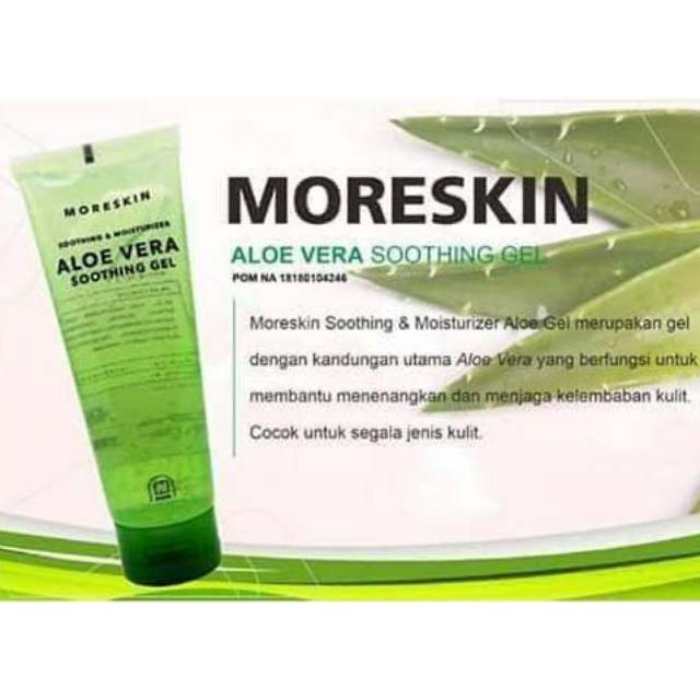 

Aloevera kecil