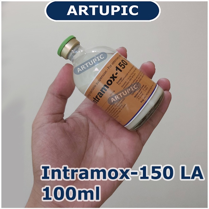 Intramox-150 LA 100 ml Amoxycillin LA Sapi Kambing Ayam Babi Domba Anjing Kucing Obat infeksi pernafasan pencernaan Antibiotik Long Acting bakterisidal Ecoli Salmonela