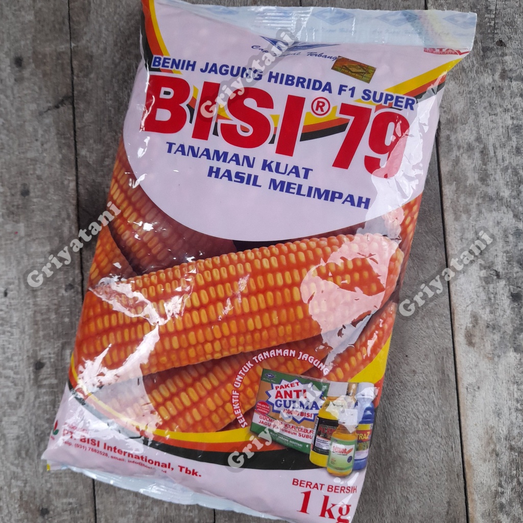 Benih Jagung Hibrida Bisi 79 1 Kg Kadaluarsa Juli 2025