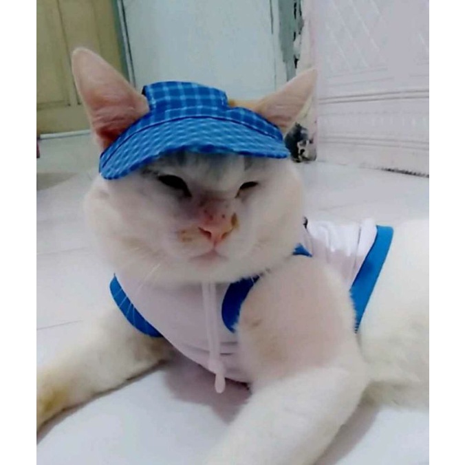 Topi kucing kitten/adult