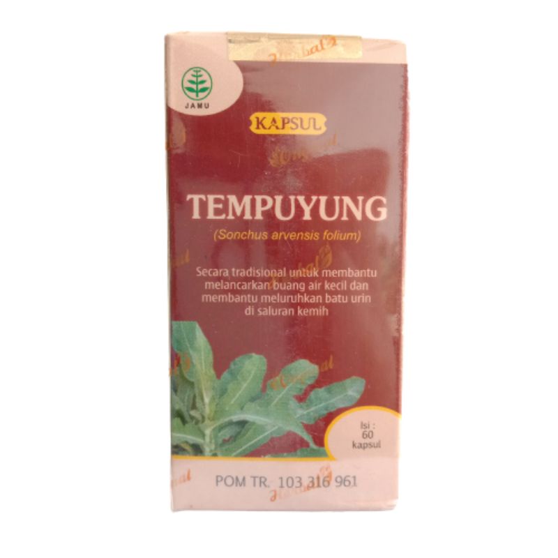 

Kapsul Tempuyung 60 Kapsul Tazakka