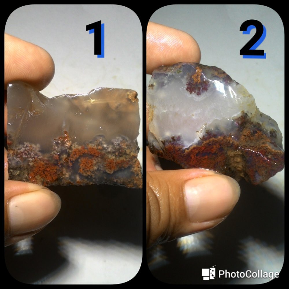 BARANG SUPER HARGA EKONOMIS.. !!! LUMUT AQUARIUM TRENGGALEK KWALITAS KONTES VERSI KANTORAN #2