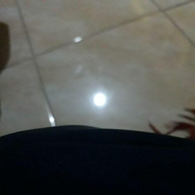 Extra Food Hpai Makanan Ekstra Buah Buahan Dan Sayuran Penambah Nafsu Makan Mencegah Virus