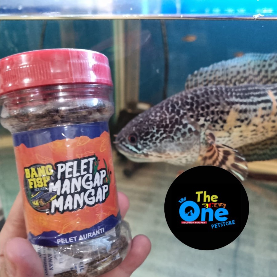 Pelet Mangap-Mangap Bang Fish Pelet Auranti Pelet Ikan Channa Auranti
