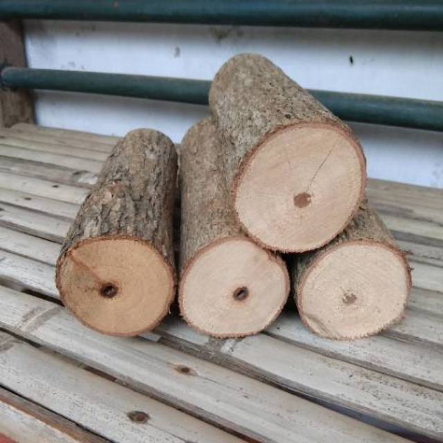 Kayu bidara Madinah original 1 kg