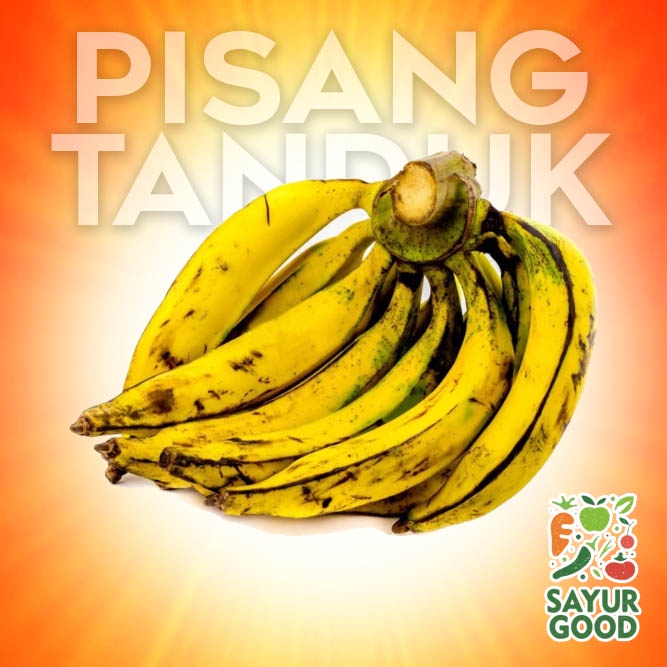 

Pisang Tanduk Segar / Buah Pisang Tanduk / 1 Sisir