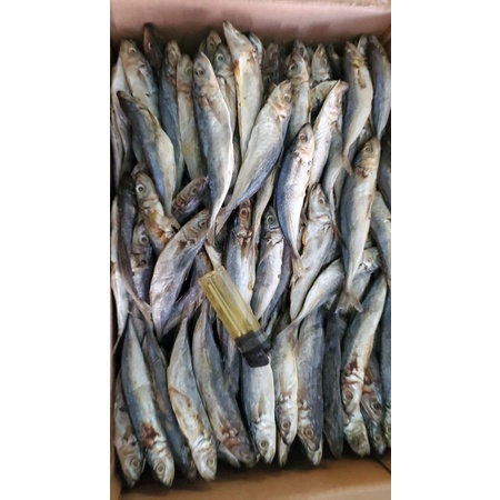 

Ikan Asin Peda