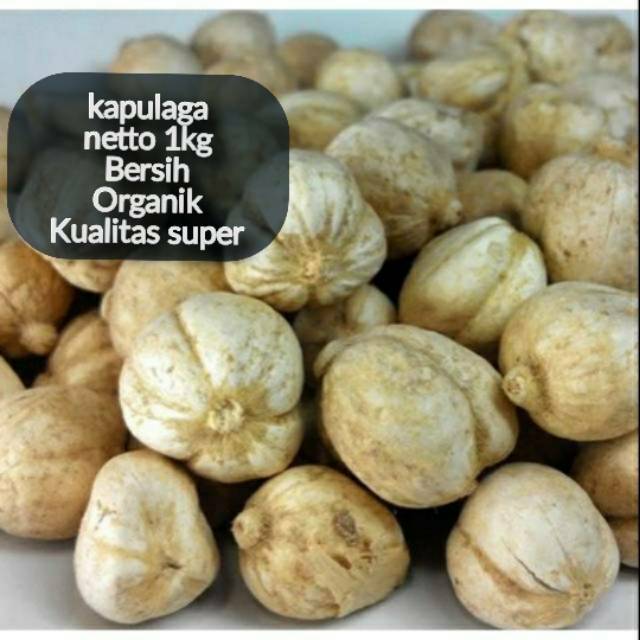 

Kapulaga/kapulogo/kapol kering 1kg kualitas super