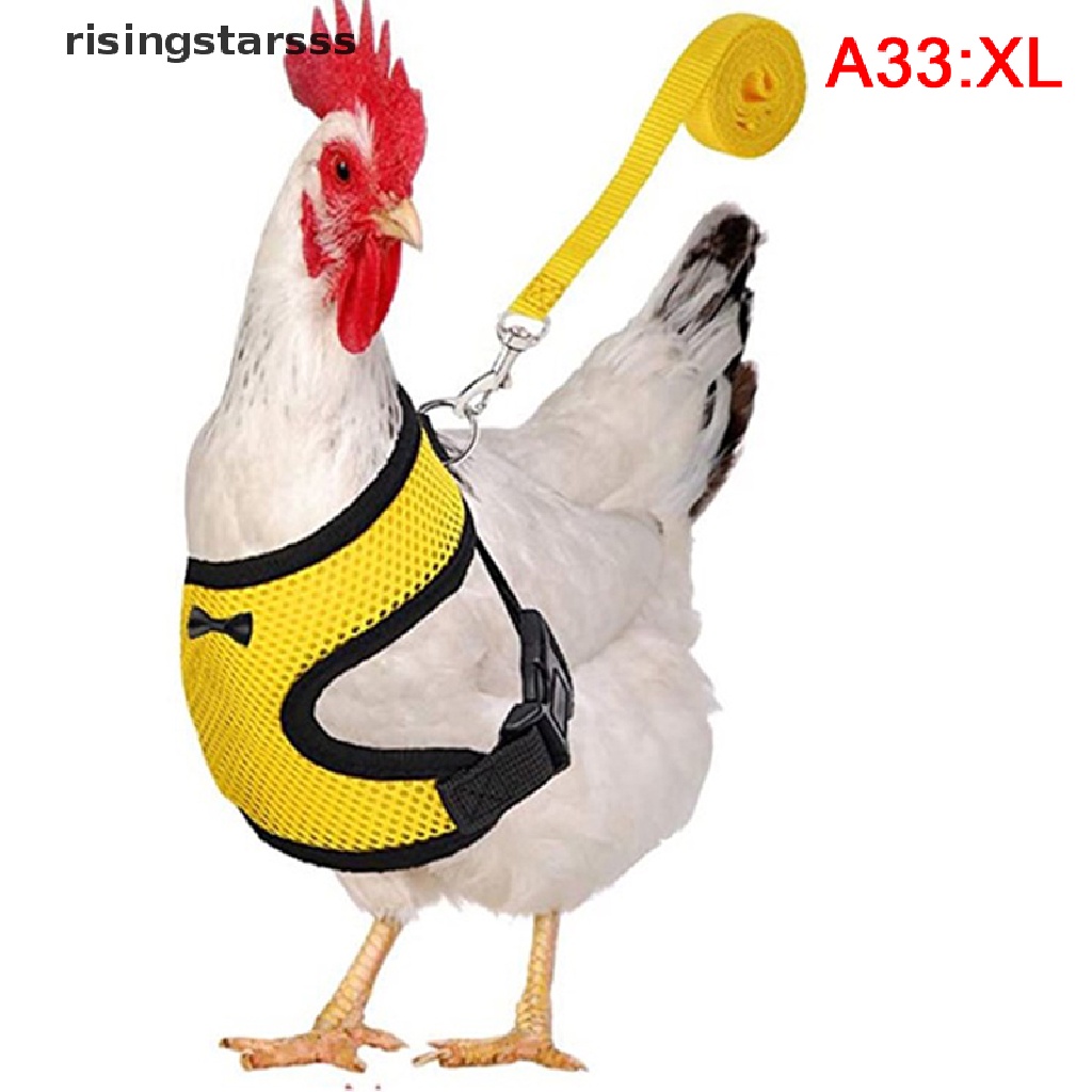 Rsid Rompi Harness Aksen Pita Untuk Ayam Betina