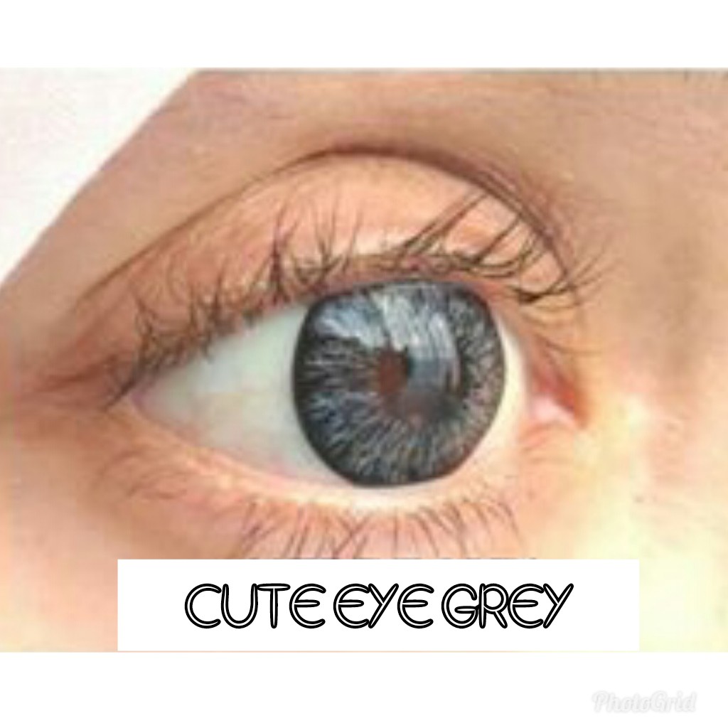 CUTE EYE GREY (0.50 S/D -6.00)