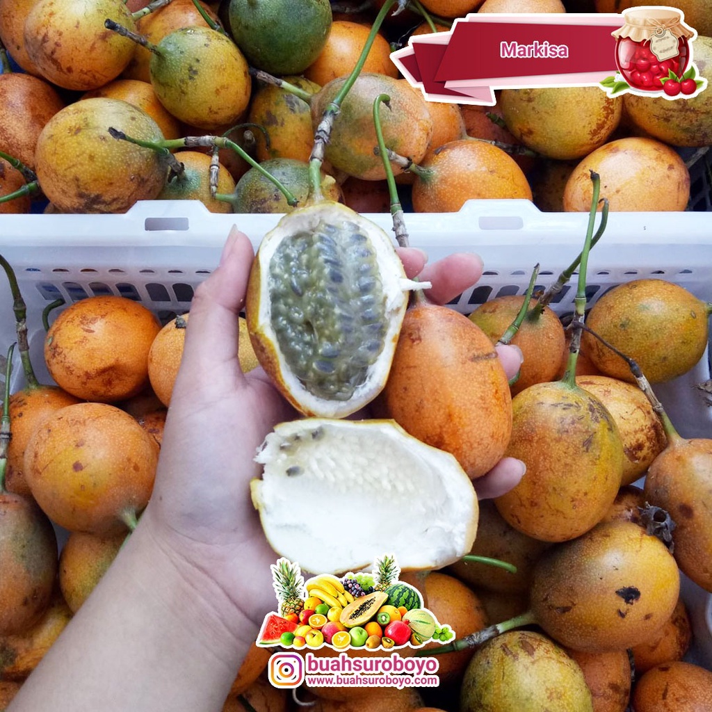 

Buah Markisa Bali