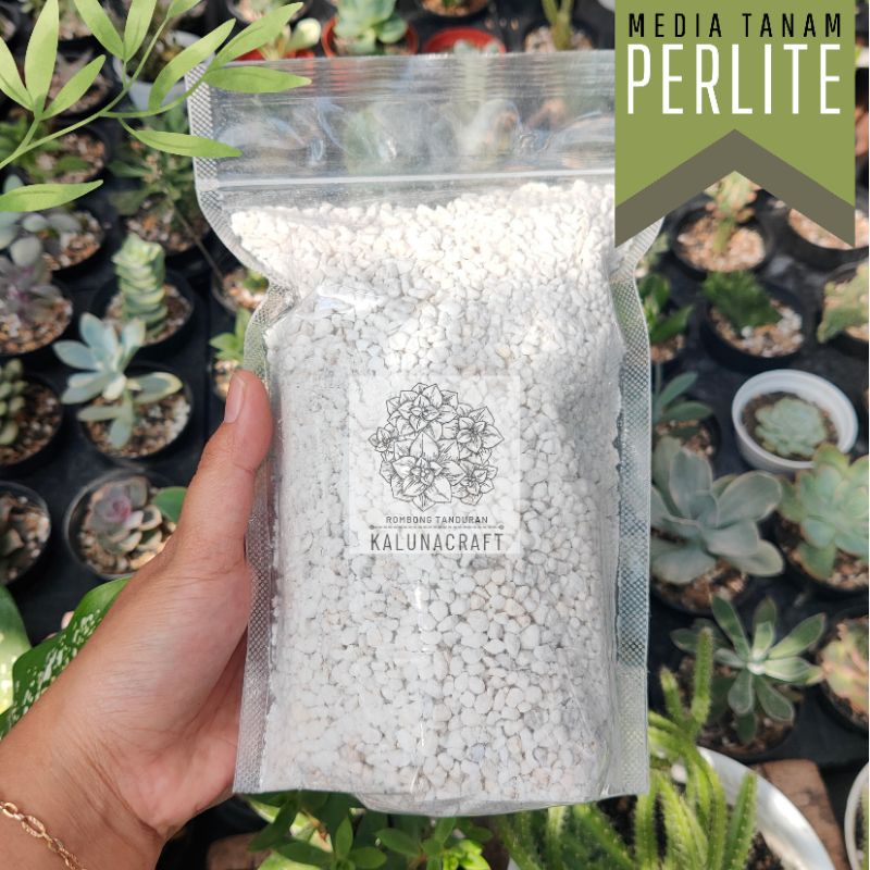 120 gr Batu Perlite 3-5 mm Vulkanik campuran Media Tanam Kaktus Sukulen tanaman Hias
