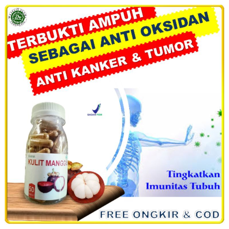 

Kulit manggis ekstrak kapsul herbal serbuk obat tumor kanker antioksidan imunitas