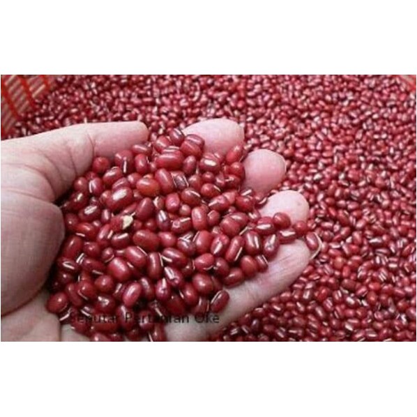 

Kacang Merah Kecil ( @ 250 Gram )