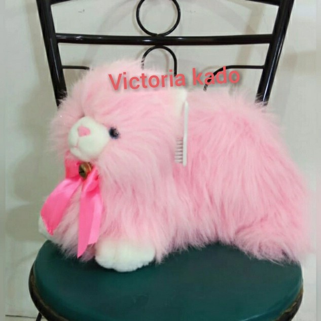 Promo Boneka Kucing Anggora Lucu Cantik Jumbo By Seulgi Terlaris