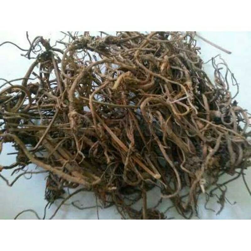 

purwoceng 250gr/asli/herbal alami