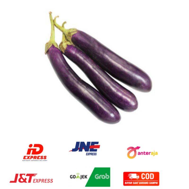 

Terong Ungu 1 Bungkus