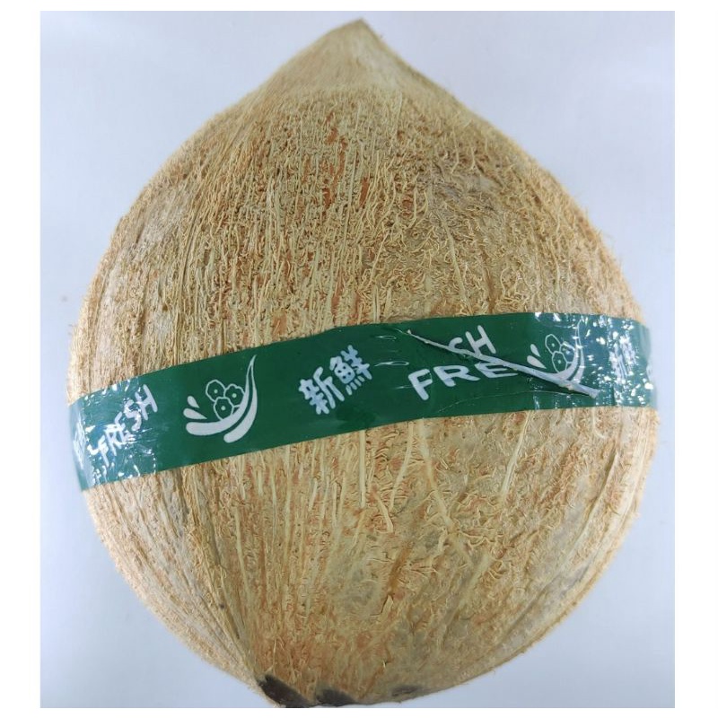 

kelapa kopyor lampung | pcs