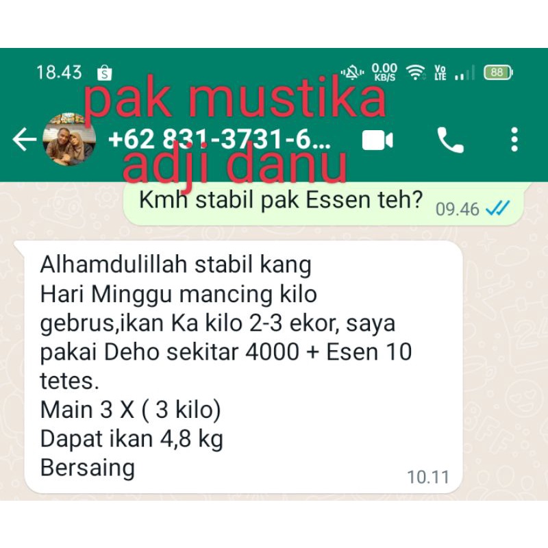 Essen Ikan Mas Paling Bagus, Essen Juara Untuk Lomba Mancing Ikan Mas Harian, Essen Ikan Mas Galapung, Essen Ikan Mas Galatama, Essen Ikan Mas Gacor, Essen Ikan Mas Paling Gacor, Essen Ikan Mas Untuk Ikan Rame, Essen Ikan Mas Untuk Galapung, Essen Juara