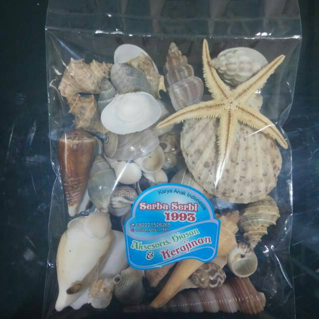 Aksesoris Kerang  Laut  200gr Untuk Hiasan  Dan Kerajinan  