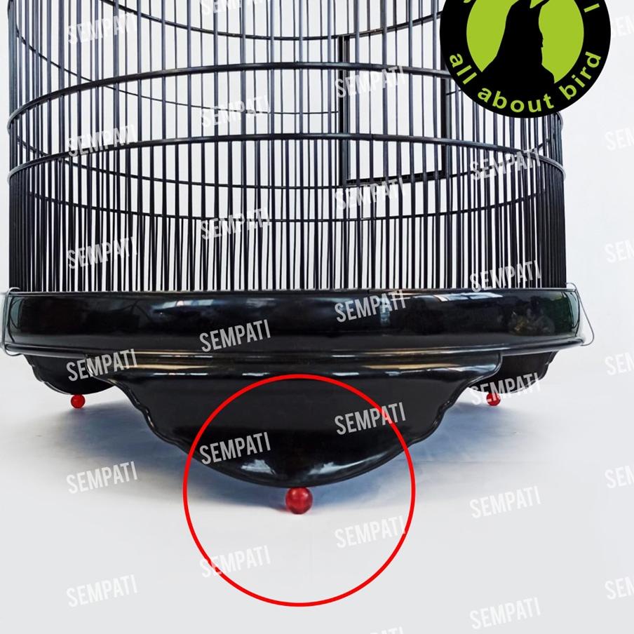 ✮ PION SANGKAR BURUNG FIBER ANIS MURAI PUTIH ORIQ JAYA ♬