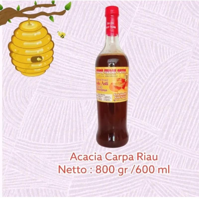 

Madu Hutan Akasia || Best Seller|| Murni