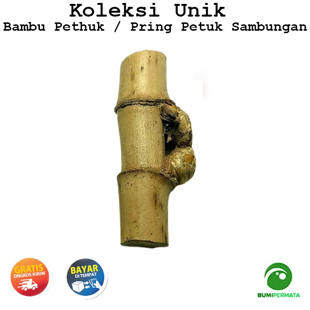 Bambu Petuk Pring Pethuk