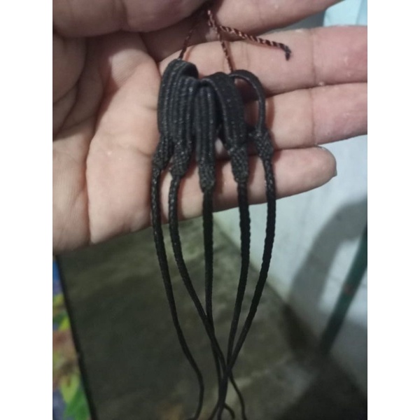 tali paut ayam hutan