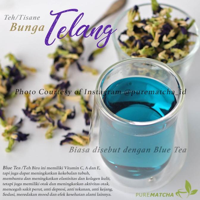 

Bayar Ditempat Bunga Telang Kering Dried Butterfly Pea Flower Blue Tea Teh Biru 10Gr Terlengkap Kode