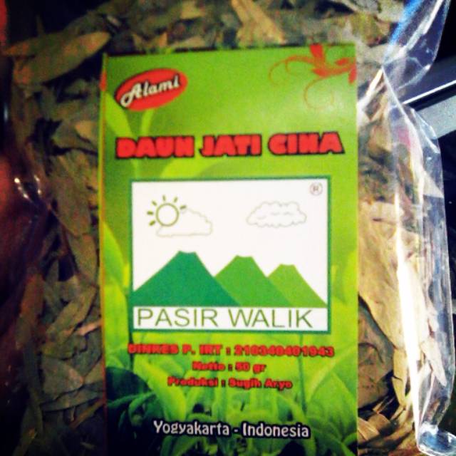 

DAUN JATI CINA PASIR WALIK