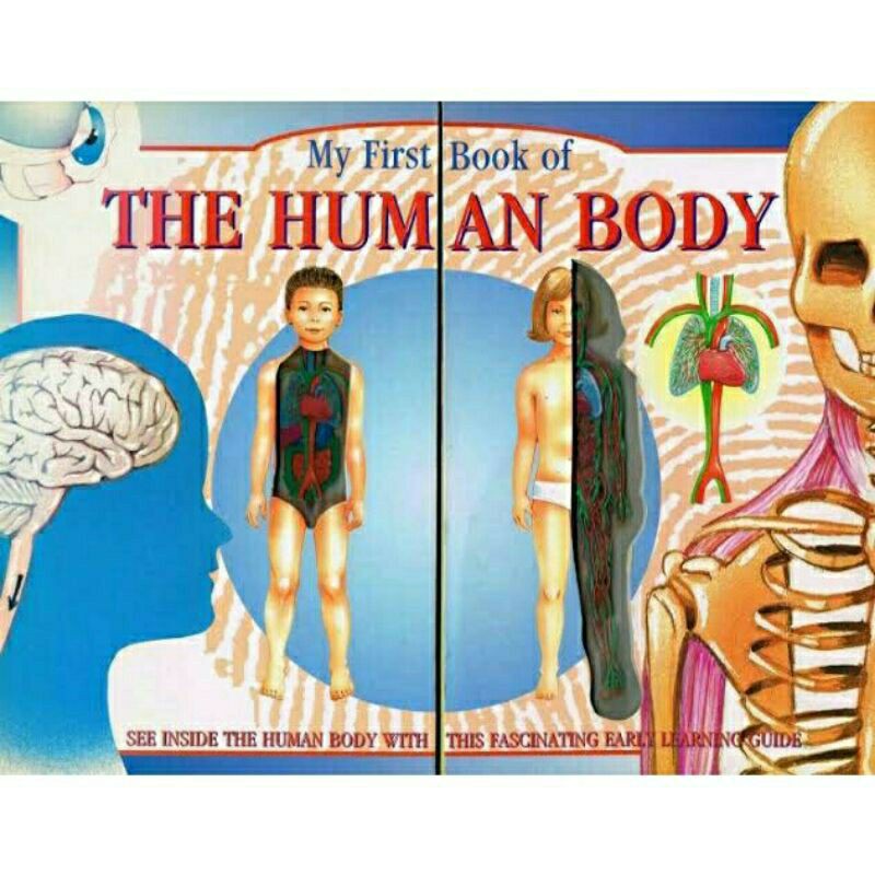 Buku Import BBW: My First Book of The Human Body