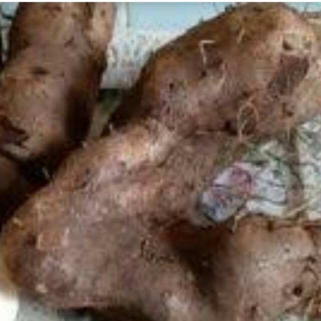 Uwi umbi Ungu dalamnya putih