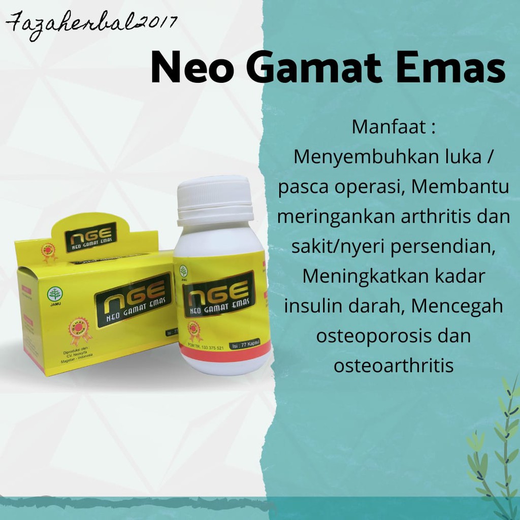 Kapsul Gamat Emas nGE 77kapsul