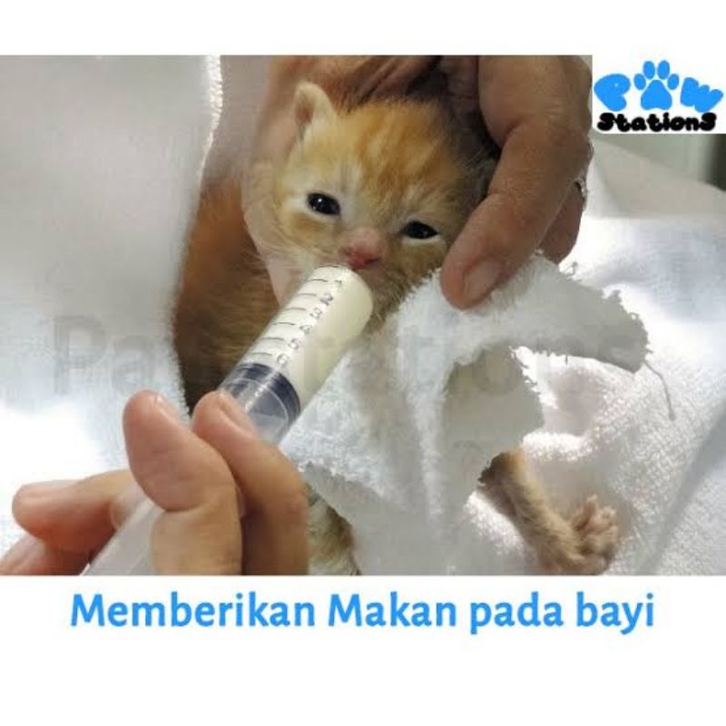 Syringe 150ml Suntikan Besar Spet Lolohan Burung parrot macaw spuit hidroponik