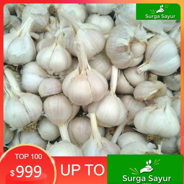

SURGA SAYUR SEGAR Bawang Putih Kating 100 Gram