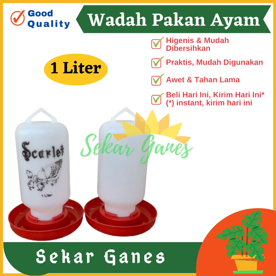 Tempat Makan Ayam Kapasitas 1 Liter 1 Kg SCARLET Wadah Pakan Ayam Anti Tumpah Ransum Wadah Makan Ayam Anakan Plastik 1 Kg - TEMPAT MAKAN AYAM / RANSUM / TRA1K MEDION KAPASITAS 1KG WADAH PAKAN AYAM TERMURAH BAHAN PLASTIK BAGUS