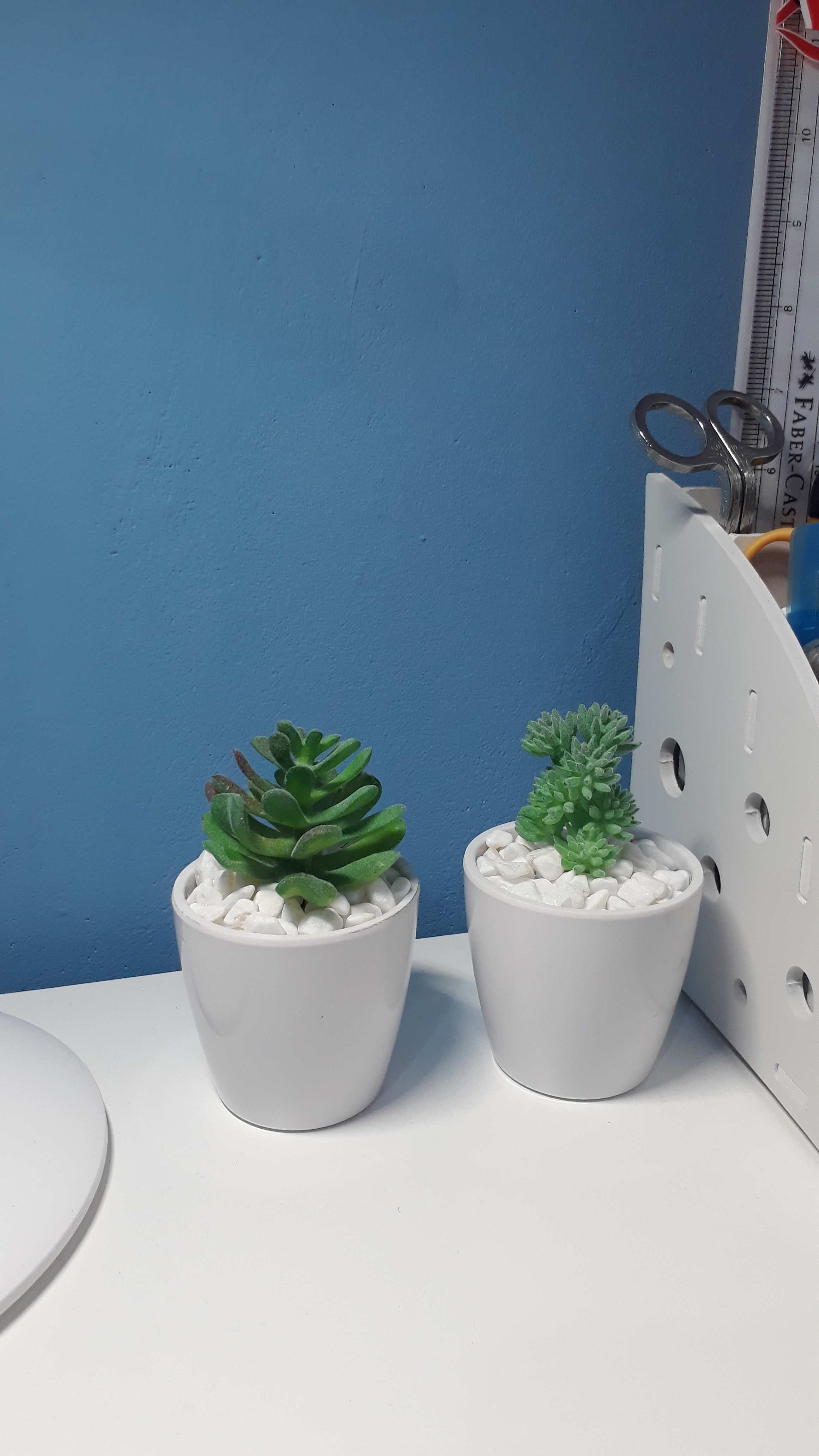 TKF Artifical Plastic Succulent  Plant Cactu Echeveria 