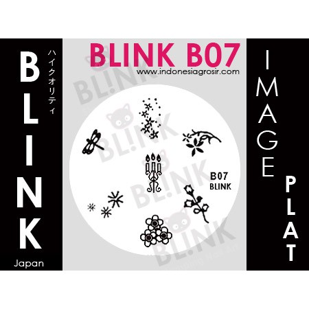 BLINK Image Plate B01-B09