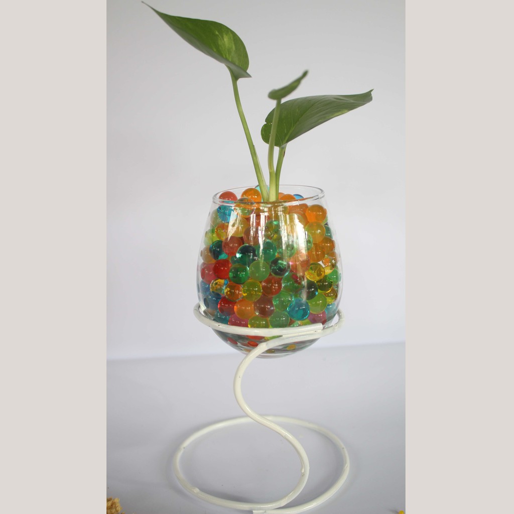 Vaskuarium Aquarium Hias Mini Dekorasi Rumah Aquarium Mini Plus Tanaman Standing Vas Ikan Cupang Vas