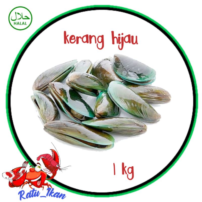 

kerang hijau [ 1kg ] ratu ikan