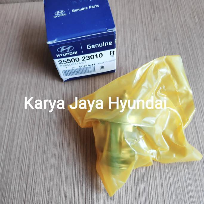 Thermostat Hyundai Matrix Tucson Trajet CVVT