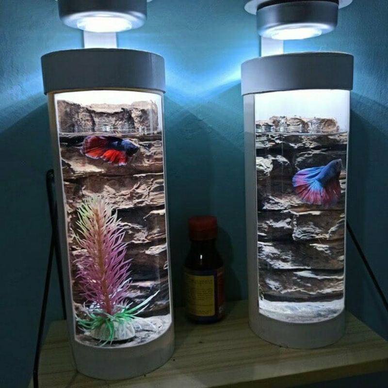 Aquarium Ikan Cupang Hias Unik Shopee Indonesia