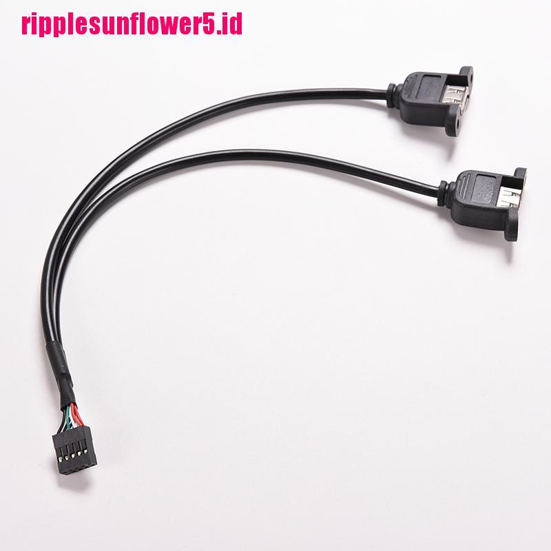 1pc Kabel Adapter Header Hitam 30cm / 1FT 2 Port USB A Female Ke Internal 9