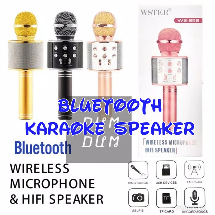 Mic Karaoke Wireless Microphone Hifi Speaker