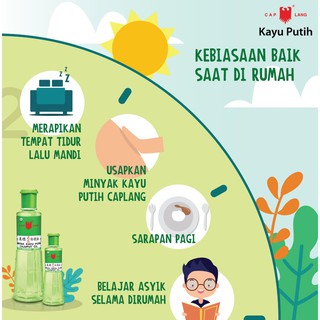 Image of thu nhỏ  BELIA  Minyak Kayu Putih Cap Lang (️BPOM) | Caplang 15 | 30 | 60 | 120 ml #3