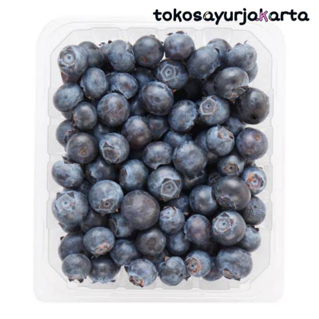 Blueberry Buah Fresh Import - Per Pack