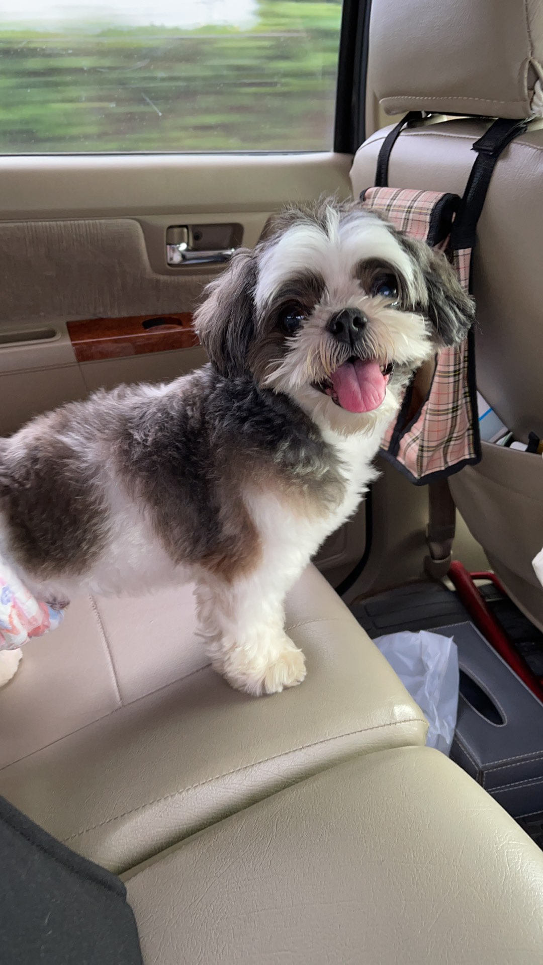 Dispenser Plastik Poop Kucing Anjing Roll Untuk Bungkus Kotoran Random